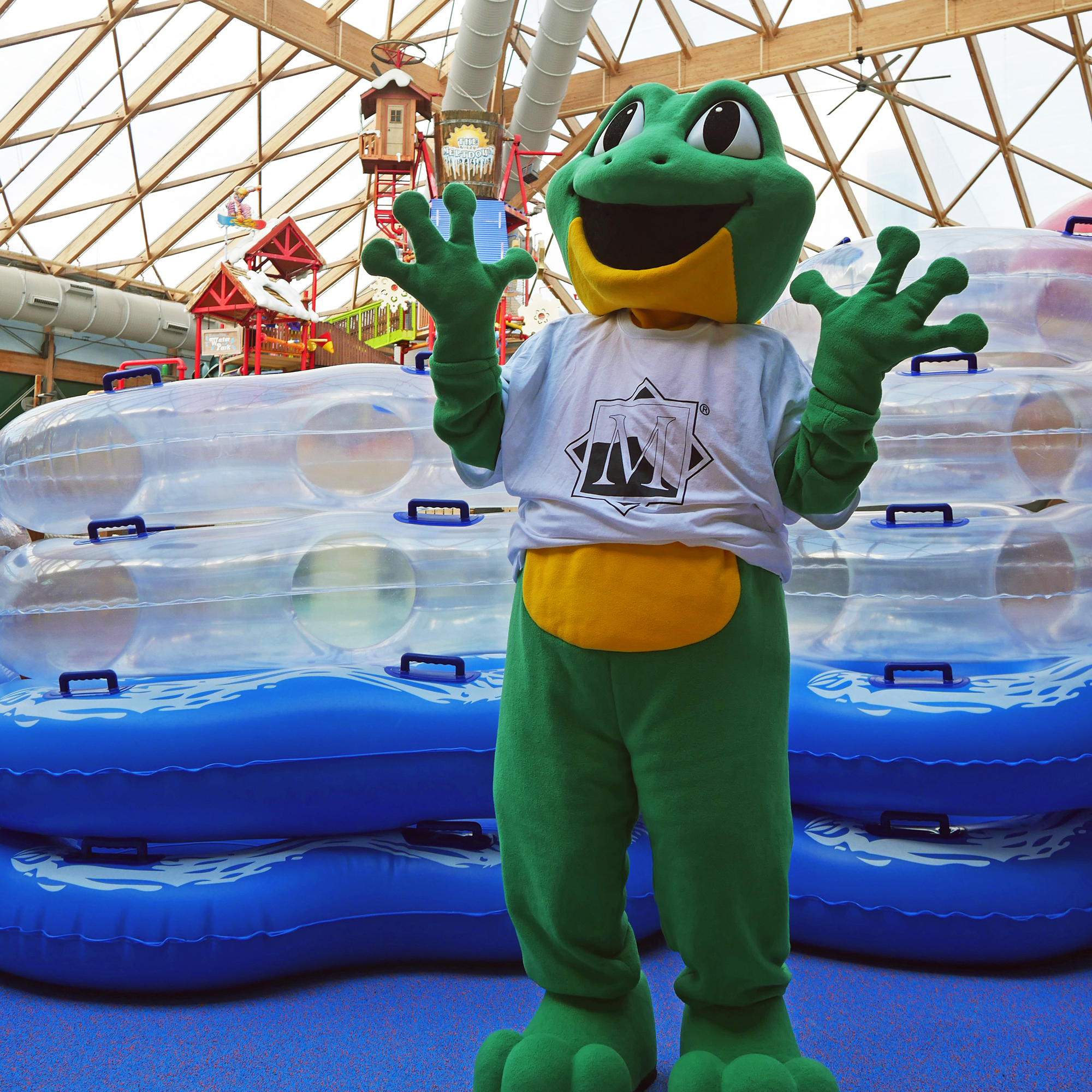 Splash the Frog