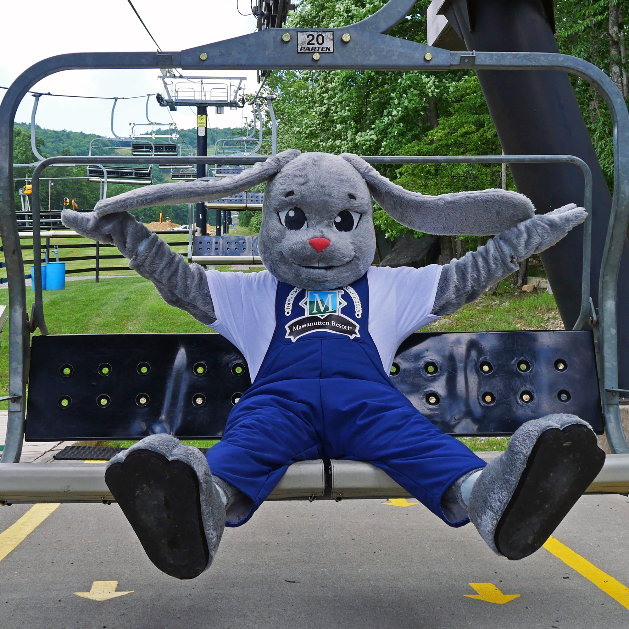 Bootsie the Bunny