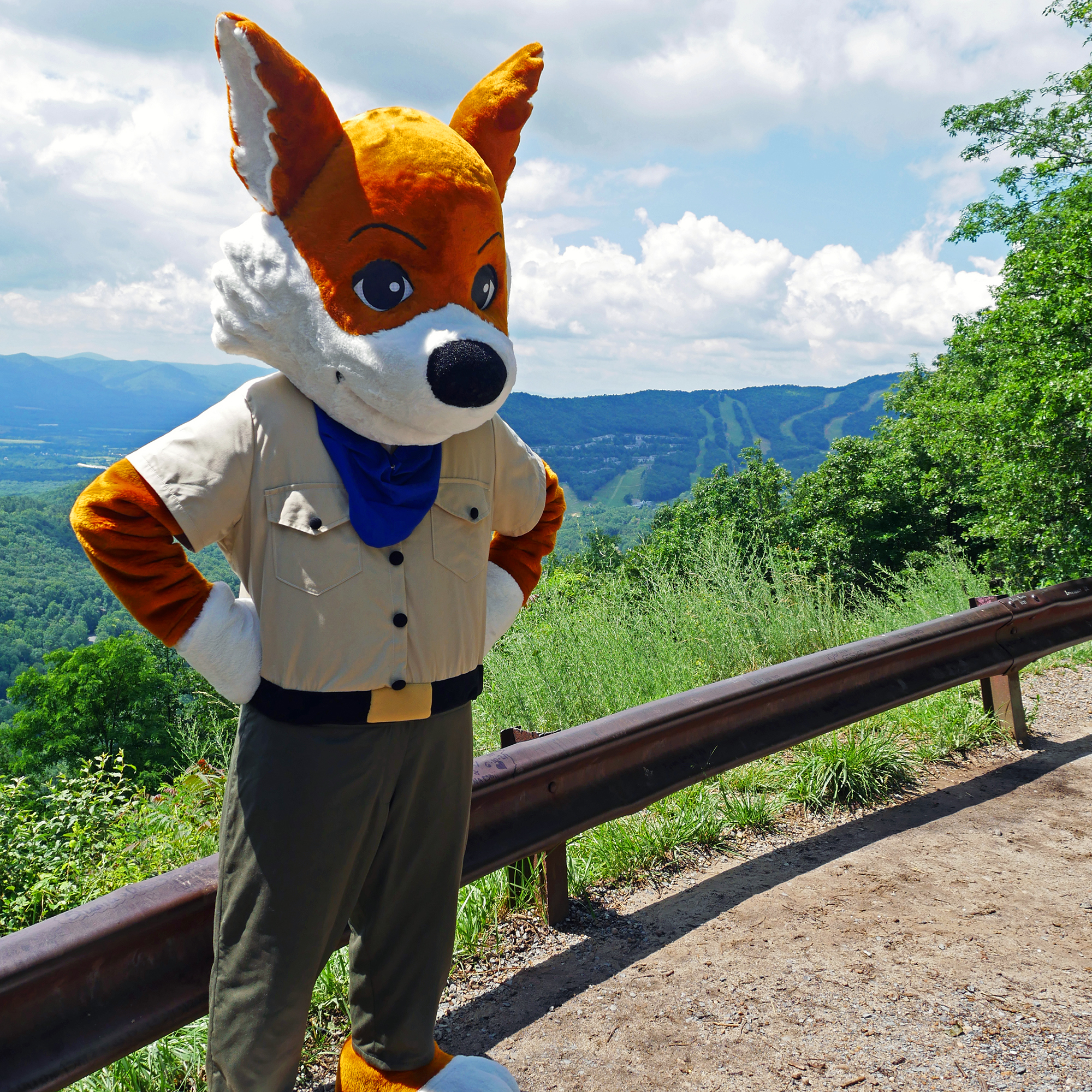 Sly the Fox