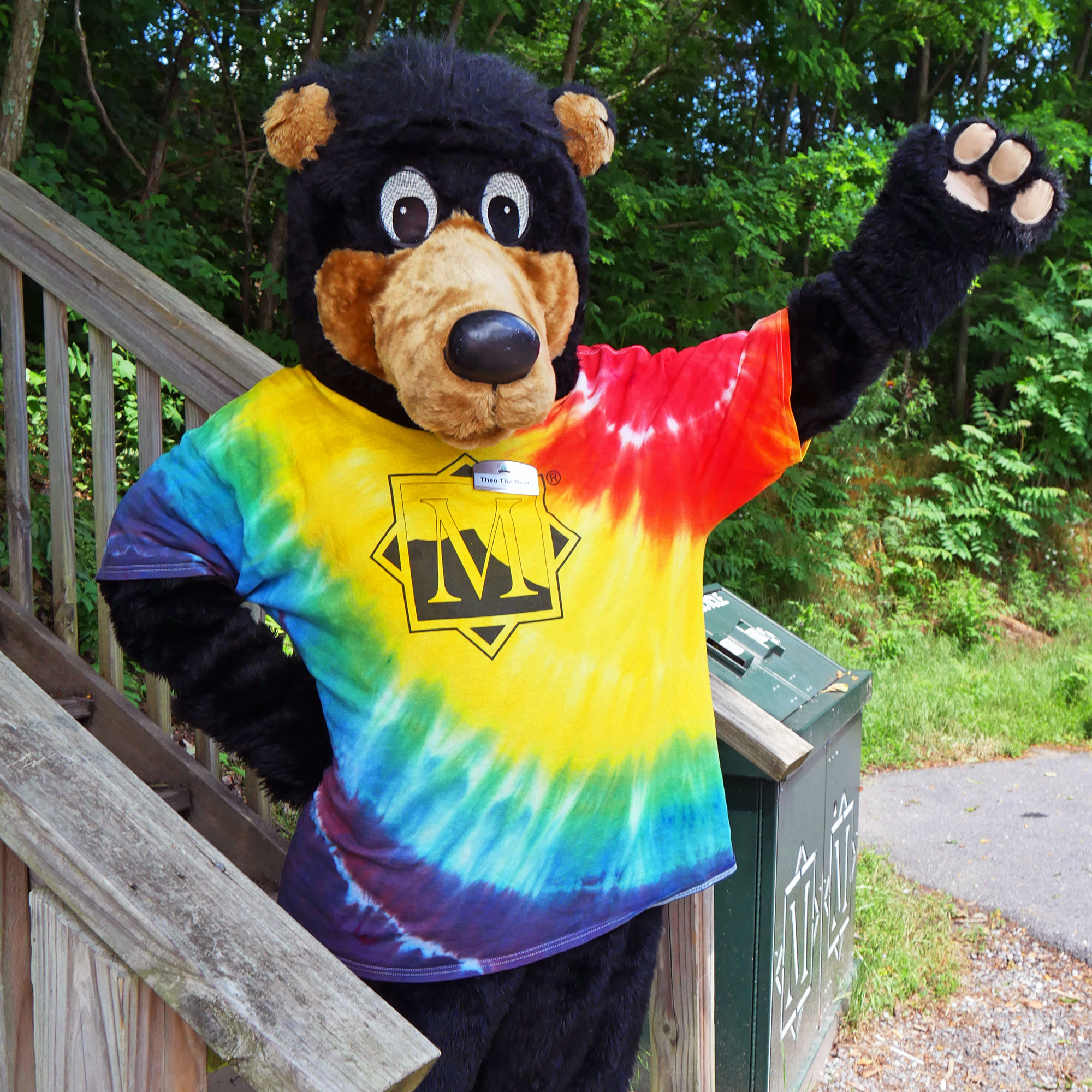 Theo the Bear