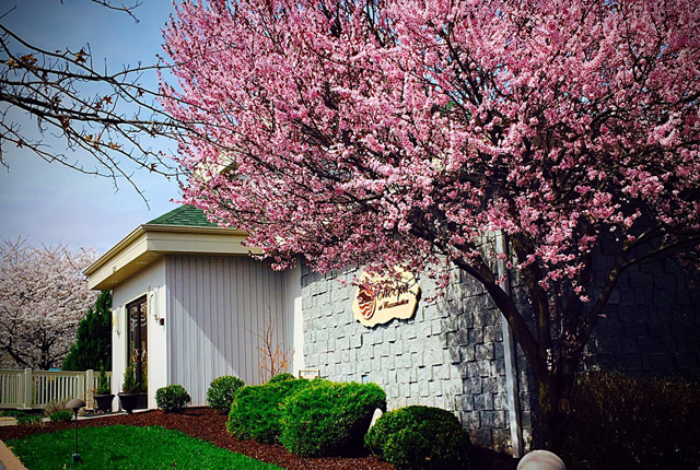 SpringSpa2