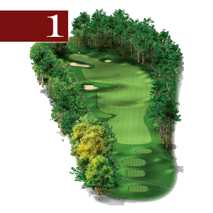woodstone hole 1