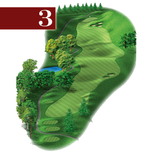 woodstone hole 3