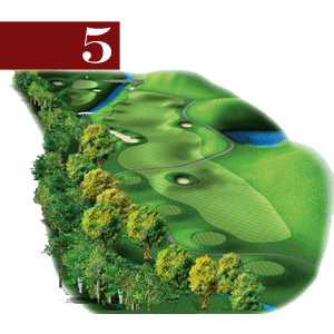 woodstone hole 5