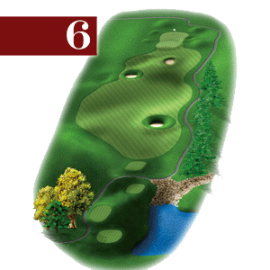 woodstone hole 6