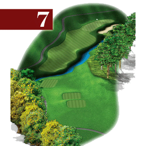 woodstone hole 7