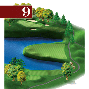 woodstone hole 9