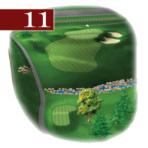 woodstone hole 11