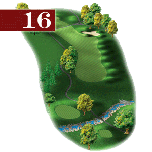 woodstone hole 16