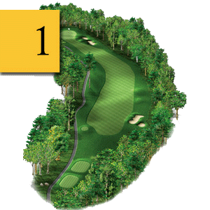 mt greens hole 1