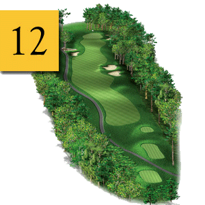 mtn greens hole 12