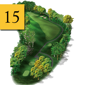 mtn greens hole 15